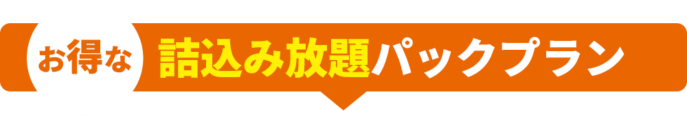 お得な詰込み放題パックプラン